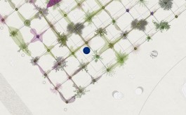 STUDIOD3R — Studio for Design, Research and Reflexive Realities