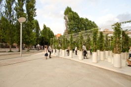 Green Gallery STUDIOD3R 