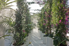 Green Gallery STUDIOD3R 