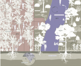 STUDIO/D3R — Studio for Design, Research and Reflexive Realities