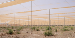 STUDIO/D3R — Studio for Design, Research and Reflexive Realities